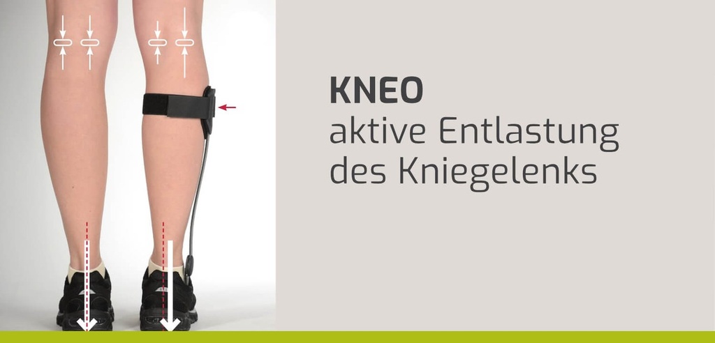 KNEO Lastlinie